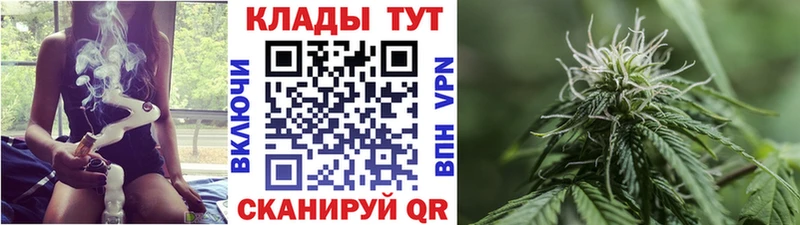 Где найти наркотики Заречный Метамфетамин  COCAIN  Псилоцибиновые грибы  Мефедрон  Гашиш 