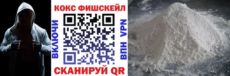 дарнет шоп  Заречный  КОКАИН FishScale 