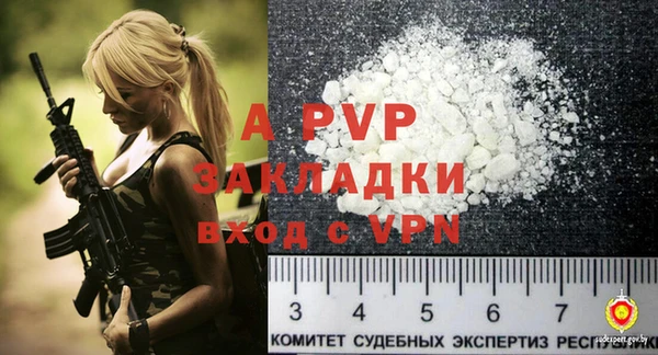 винт Вяземский