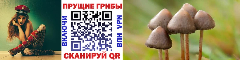 Псилоцибиновые грибы GOLDEN TEACHER  цены наркотик  Заречный 
